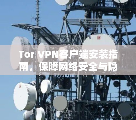 Tor VPN客户端安装指南,保障网络安全与隐私 Tor VPN客户端安装指南,保障网络安全与隐私