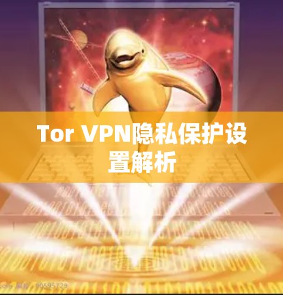 Tor VPN隐私保护设置解析 Tor VPN隐私保护设置解析