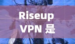 Riseup VPN 是一款由 Riseup 开发的虚拟专用网络（VPN）服务，旨在为用户提供高效、安全的网络连接解决方案。以下是其主要功能和特点