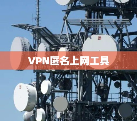 VPN匿名上网工具 VPN匿名上网工具