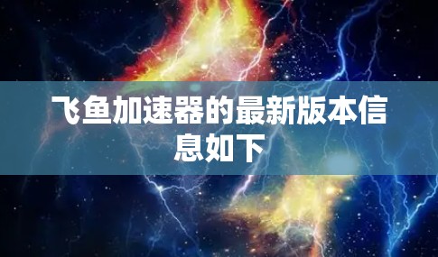 飞鱼加速器的最新版本信息如下