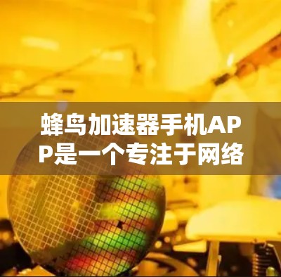 蜂鸟加速器手机APP是一个专注于网络优化的工具，旨在帮助用户提升网络连接速度和管理流量，同时提供隐私保护。以下是对该APP的详细分析和总结