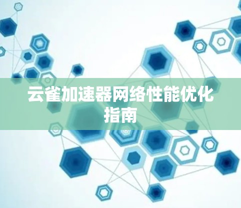 云雀加速器网络性能优化指南