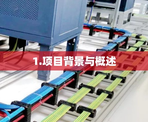 1.项目背景与概述