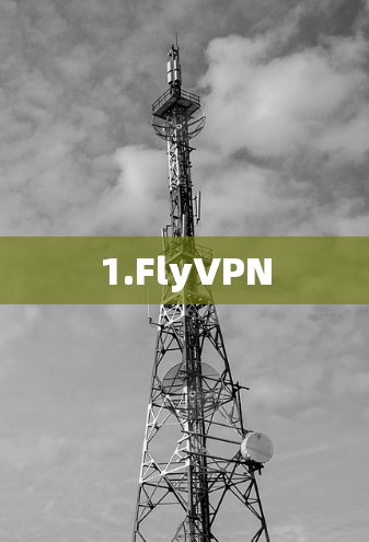 1.FlyVPN