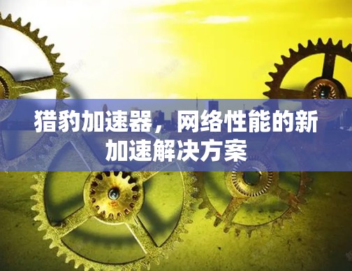 猎豹加速器，网络性能的新加速解决方案