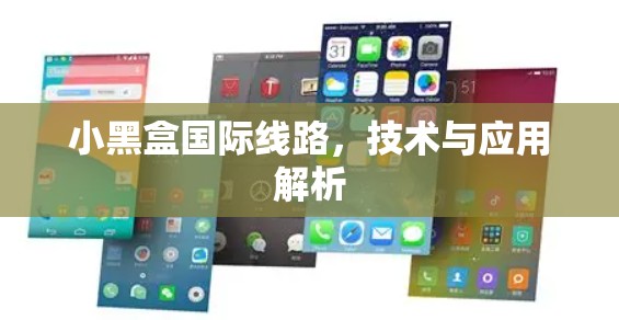 小黑盒国际线路，技术与应用解析