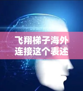 飞翔梯子海外连接这个表述可能是用来形容互联网连接在海外市场中的快速发展和跨国传播的可能性。随着互联网技术的不断进步，跨国数据传输和网络连接已经成为全球化时代的重要基础设施