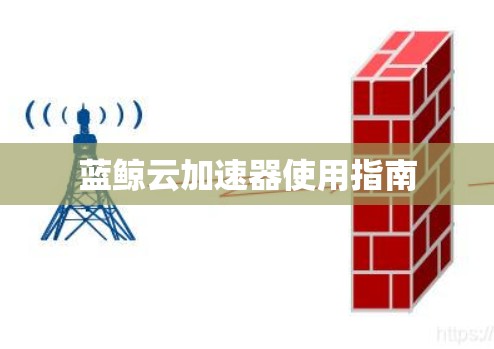 蓝鲸云加速器使用指南