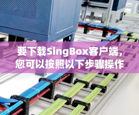要下载SingBox客户端，您可以按照以下步骤操作