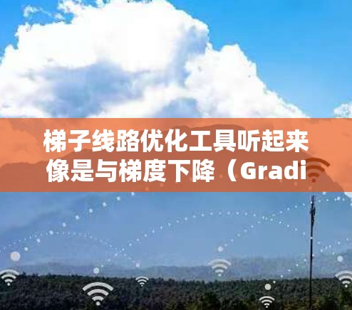 梯子线路优化工具听起来像是与梯度下降（Gradient Descent）或其他优化算法相关的工具或方法。如果你是在寻找优化算法或工具来解决某种问题，以下是一些常见的优化工具和方法