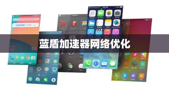 蓝盾加速器网络优化