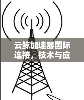 云鲸加速器国际连接，技术与应用探析