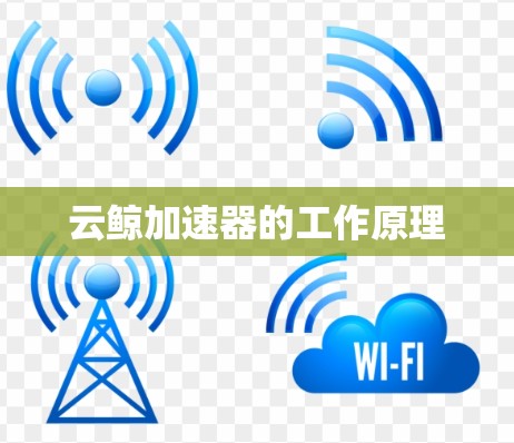 云鲸加速器的工作原理