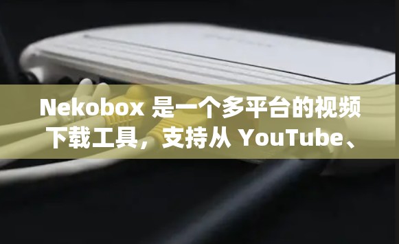 Nekobox 是一个多平台的视频下载工具，支持从 YouTube、Vimeo、Dailymotion 等网站下载视频。以下是使用 Nekobox 的基本方法
