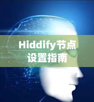 Hiddify节点设置指南