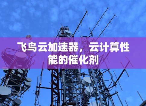 飞鸟云加速器,云计算性能的催化剂 飞鸟云加速器,云计算性能的催化剂