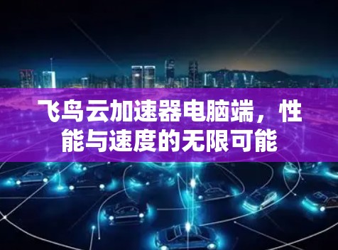 飞鸟云加速器电脑端，性能与速度的无限可能