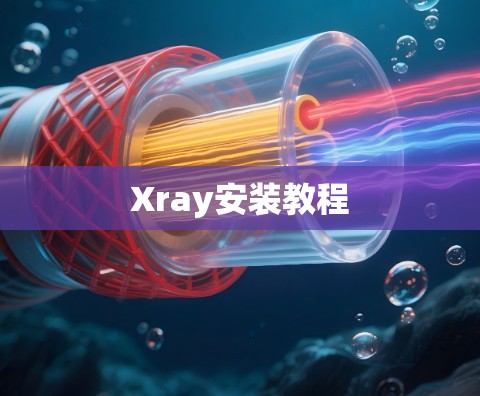 Xray安装教程