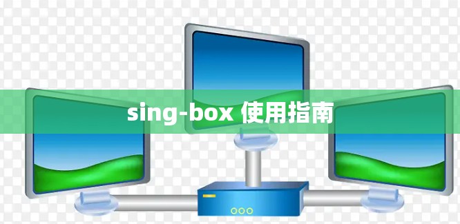 sing-box 使用指南