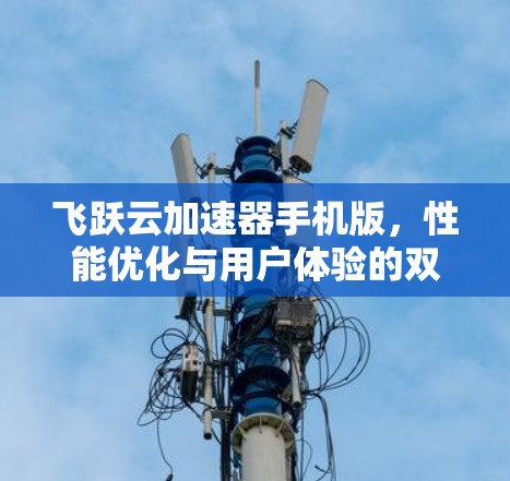 飞跃云加速器手机版，性能优化与用户体验的双重提升