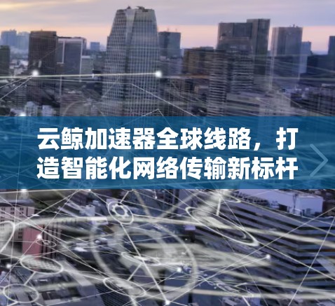 云鲸加速器全球线路，打造智能化网络传输新标杆