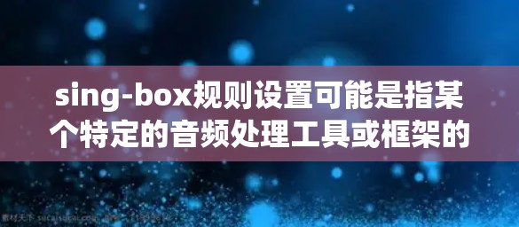 sing-box规则设置可能是指某个特定的音频处理工具或框架的配置。以下是一些可能的规则设置说明，假设您是在询问某个特定工具的规则设置