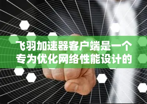 飞羽加速器客户端是一个专为优化网络性能设计的工具，能够帮助用户加速网络连接速度，提升下载和上传效率。以下是使用飞羽加速器客户端的基本步骤和注意事项