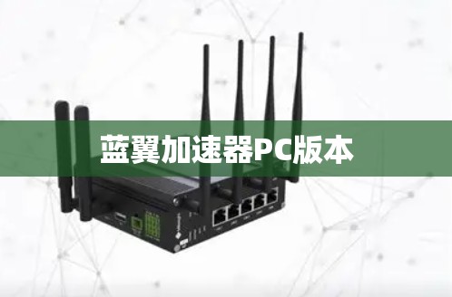 蓝翼加速器PC版本