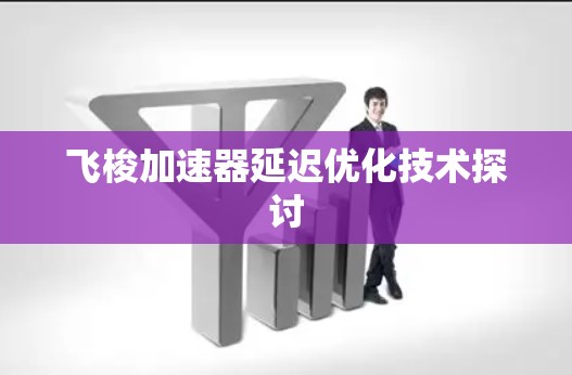 飞梭加速器延迟优化技术探讨 飞梭加速器延迟优化技术探讨