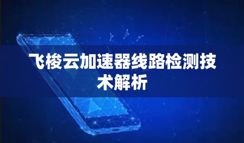 飞梭云加速器线路检测技术解析